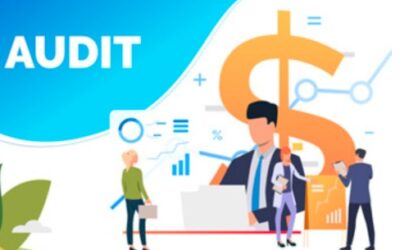 Top  Mystery Shopping companies for auditors